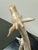 Miquel Requena Giraffe and Calf Porcelain Figurine, Signed For Sale In San Francisco - Image 6 of 12