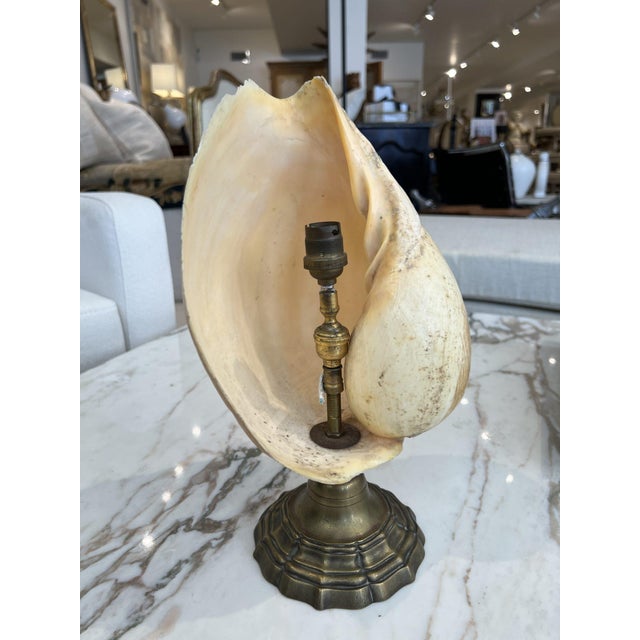 Mid 20th Century French Mid-Century Shell Lamp For Sale - Image 5 of 5