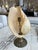 Mid 20th Century French Mid-Century Shell Lamp For Sale - Image 5 of 5
