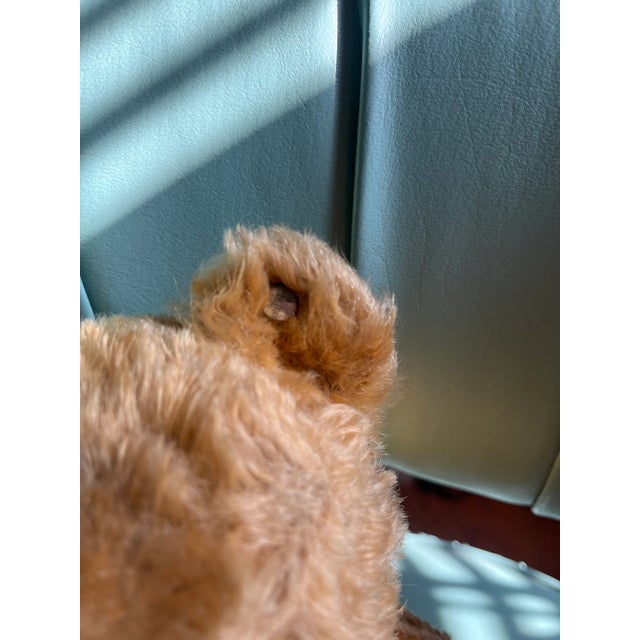 Textile 1940s Steiff Bear, Made in Germany For Sale - Image 7 of 12