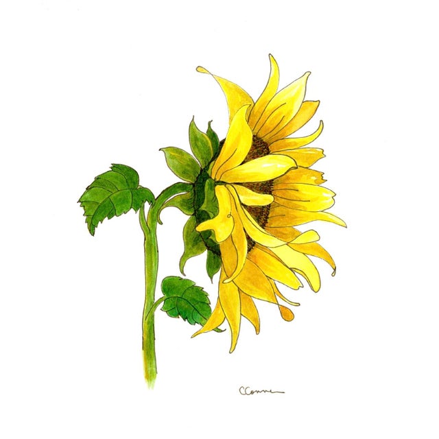 Watercolor Painting Giclee Print Yellow Sunflower For Sale