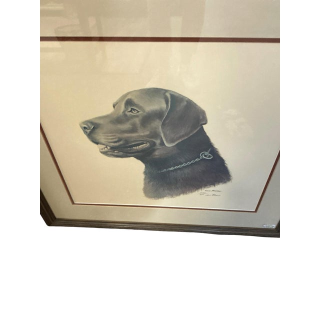 Traditional Louis Frisino Signed Limited Edition Chocolate Labrador Retriever Print #577/600 For Sale - Image 3 of 7