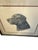Traditional Louis Frisino Signed Limited Edition Chocolate Labrador Retriever Print #577/600 For Sale - Image 3 of 7