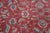 Karastan Ashara 100% Wool Red Agra Acanthus Palmette 549 Area Rug Carpet 6' X 9' For Sale - Image 12 of 14