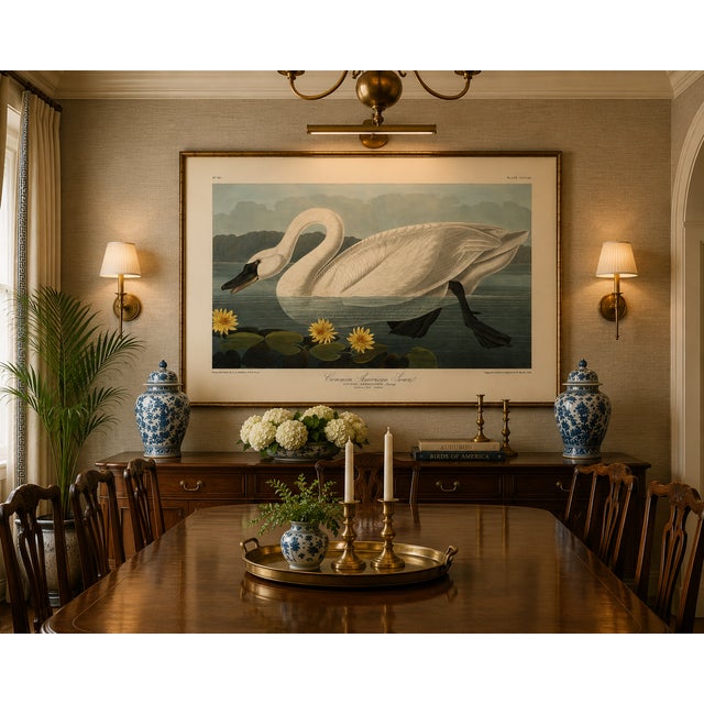 Common American Swan, Museum Style Audubon Bird Print, 24" X 16" For Sale - Image 9 of 10