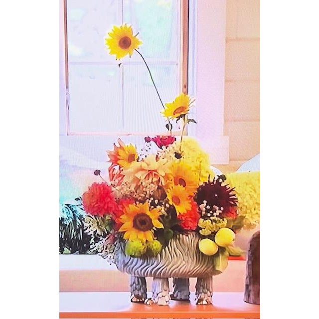 Haas Brothers for L’Objet “Lukas” Monster Tureen - 24k Gold, Sculptural Centerpiece, Discontinued, Brand New in Gift Box For Sale - Image 10 of 10