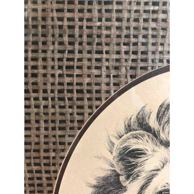 1970s 1970s Vintage Linda Picken Lion and Tiger Framed Prints - a Pair For Sale - Image 5 of 10