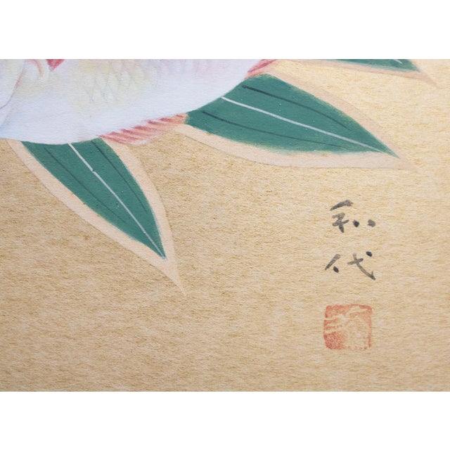 "Red Snapper", Heisei Era Japanese Watercolor Painting For Sale - Image 11 of 17