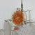Metal Mid-Century Glass Disc Chandelier from Vistosi, 1970s For Sale - Image 7 of 11