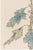 White Pompon Mum by Hasegawa, Vintage Japanese Botanical Art Print, 16" X 24" For Sale - Image 4 of 9