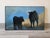 In "Herd Rhythm," two silhouetted cows stand against a soft blue backdrop, evoking a sense of tranquility and connection...
