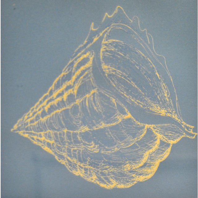 Mid-Century Modern Framed Realism Blue & Beige Seashell Pencil Painting, Fine Art Brushed Chrome For Sale - Image 3 of 11
