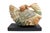 Mother Hen Carving For Sale - Image 10 of 10
