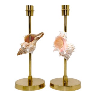 Brass Candlestick Pair Shells Seashells For Sale