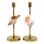 Brass Candlesticks Shells Seashells For Sale