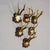 Early 20th Century Antique Set of Black Forest Roe Deer Trophies, Germany Ca. 1890s/1900s For Sale - Image 5 of 10
