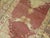 Early 21st Century Early 21st Century Soft Red Turkish Lion Pictorial Runner - 3'4" x 10'7" For Sale - Image 5 of 6