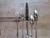 Gorham 1938 Sterling Silver Flatware, Greenbrier Pattern, 102 Pieces Including 18 Full Place Settings and Serving Pieces For Sale - Image 11 of 18