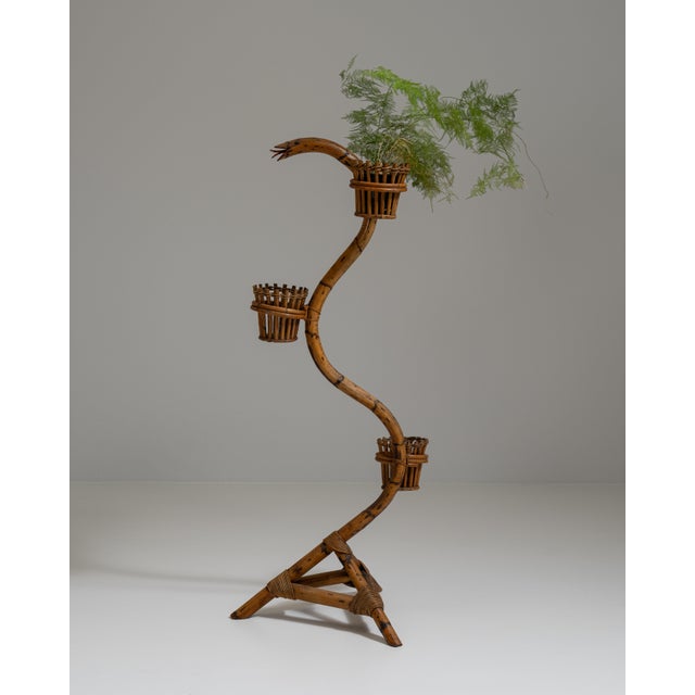 Amber 1960s French Amber Bamboo And Rattan Snake Plant Stand For Sale - Image 8 of 15