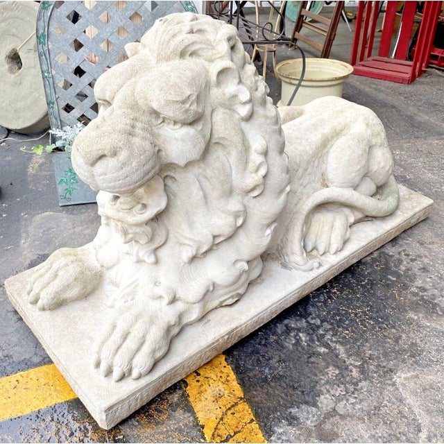 Vintage Large Concrete Lion Statue With Roaring Expression Chairish