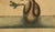 Paper Mark Catesby Engraving, "The Pied-Billed Grebe", Framed For Sale - Image 7 of 9