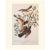 Paper 1966 Cottage Print "Mountain Mockingbird, Sage Thrasher & Varied Thrush" After John James Audubon For Sale - Image 7 of 7