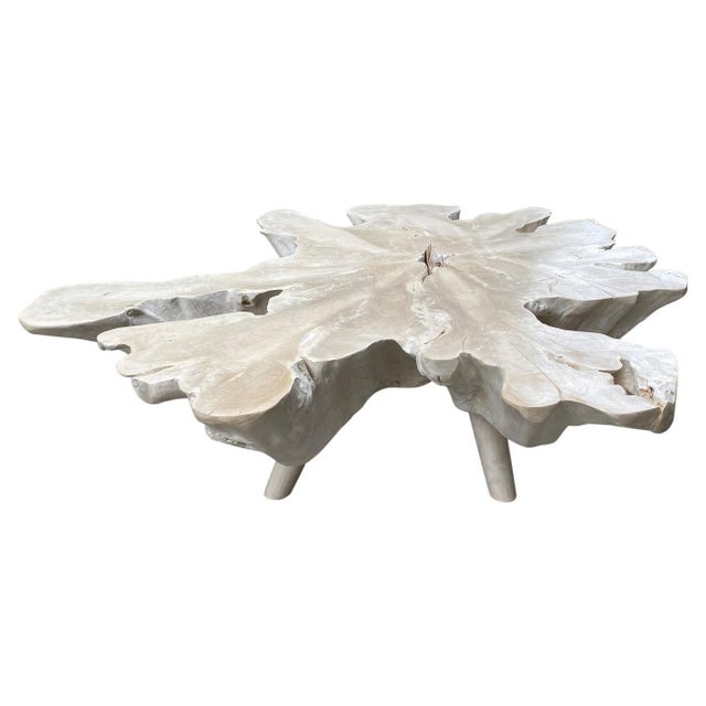 2010s Andrianna Shamaris Amorphous Bleached Teak Wood Mid Century Style Coffee Table For Sale - Image 5 of 18