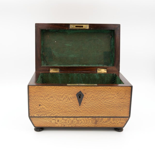 Early 19th Century Solid Lacewood Box With Campaign Handles For Sale - Image 4 of 13
