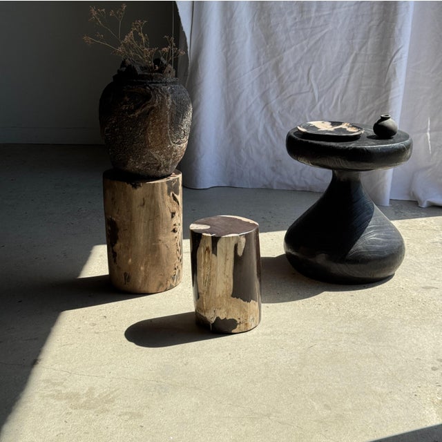 Side table in brown and black petrified wood. Petrified wood is a fossilized wood (from the same family as magnolia)...