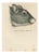 Paul Gervais, Gerbil, Lithograph, 1854 For Sale