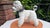Black Vintage Italian Porcelain Dog, 1970s For Sale - Image 8 of 8