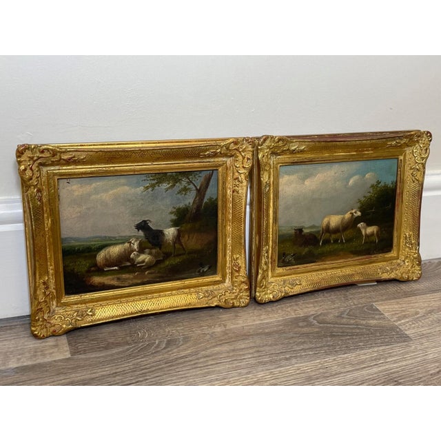 Olive Antique Belgian Sheep Paintings Pair, Franz Van Severdonck Oil on Panel Pastoral Farm Scenes For Sale - Image 8 of 18