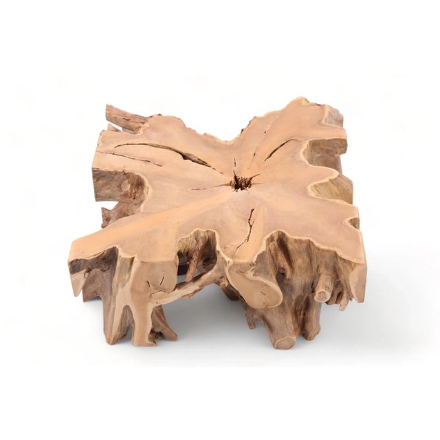 39" Inch Square Teak Root Coffee Table For Sale - Image 4 of 9