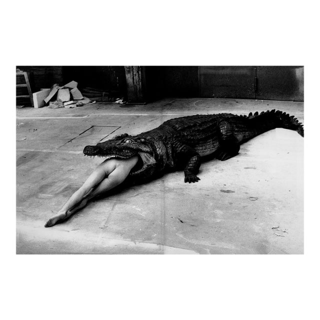"Crocodile Eating Ballerina, Wuppertal 1983" Vintage Silver Gelatin Print by Helmut Newton For Sale