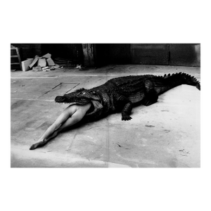 "Crocodile Eating Ballerina, Wuppertal 1983" Vintage Silver Gelatin Print by Helmut Newton