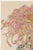 Originally created as Plate 6 from Keika Hyakugiku (One Hundred Chrysanthemums) in 1893, this elegant botanical...
