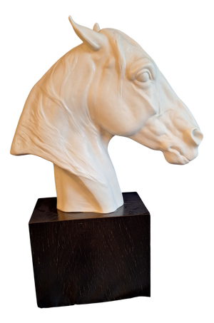 Horse Head Sculpture in White Bisque Porcelain on Black Base by Albert Hinrich Hussmann for Rosenthal, 1970s