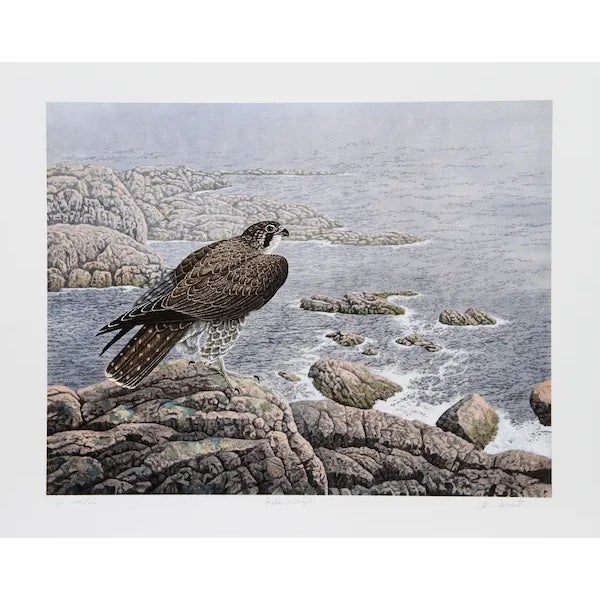 Chris Forrest, "Falcon's Vigil," Lithograph For Sale