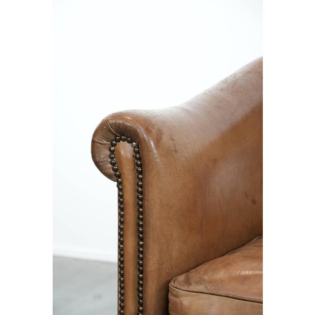 Club Armchair in Light Cognac Sheepskin For Sale - Image 10 of 14
