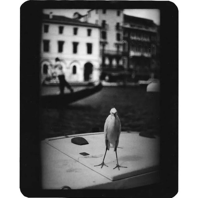 All prints are produced to order. All prints are shipped unframed. Brunelli started photographing animals in 2005. Finding...