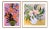 Still Life Gallery Wall, Set of 2 For Sale