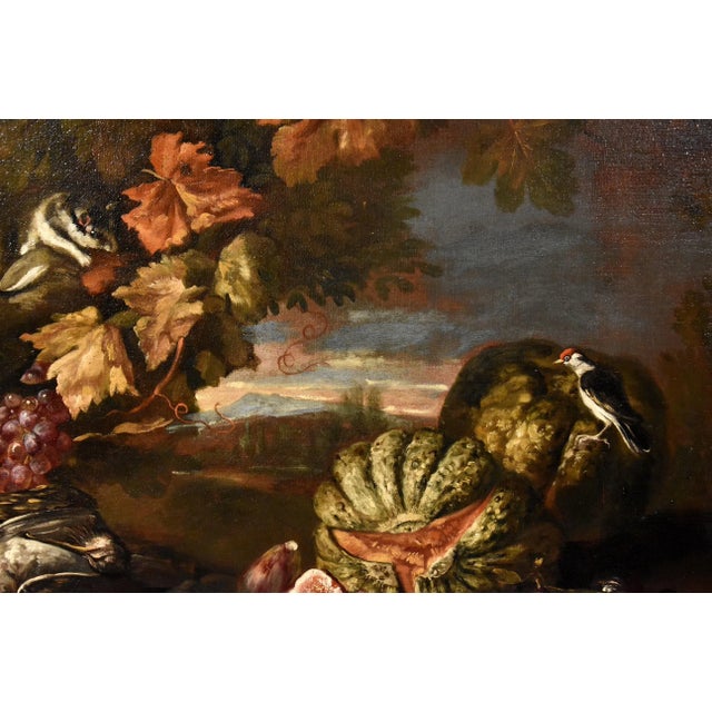 Early 18th Century Giovanni Paolo Castelli, Still Life, 1700, Oil on Canvas, Framed For Sale - Image 5 of 16