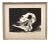Sheep's Skull Print, 1964 For Sale