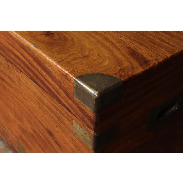 Brown Antique Camphor Wood Military Campaign Chest, 1880 For Sale - Image 8 of 15