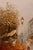 Authentic 1950s Caroline Burnett Framed Oil on Canvas Impressionistic Painting of Parisian Street and Moulin Rouge For Sale - Image 15 of 15