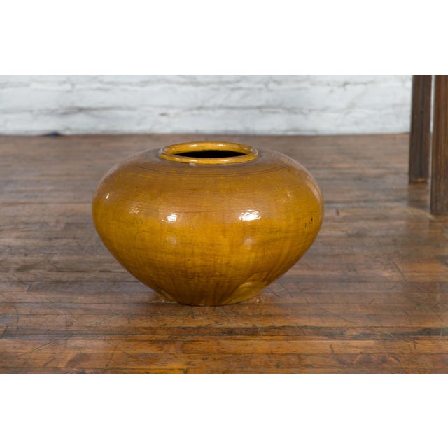 Chinese Chinese Vintage Porcelain Low Squat Planter with Yellow Mustard Glaze For Sale - Image 3 of 12