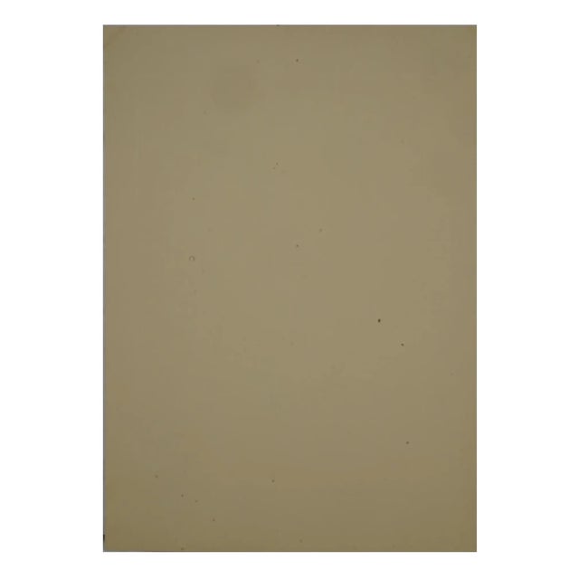 1921 Photo Portrait Painting Ferdinand Foch by Frank Moore For Sale - Image 4 of 9