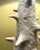 Textile Organic Modern Trent Kendrick Sieba Lamp For Sale - Image 7 of 8