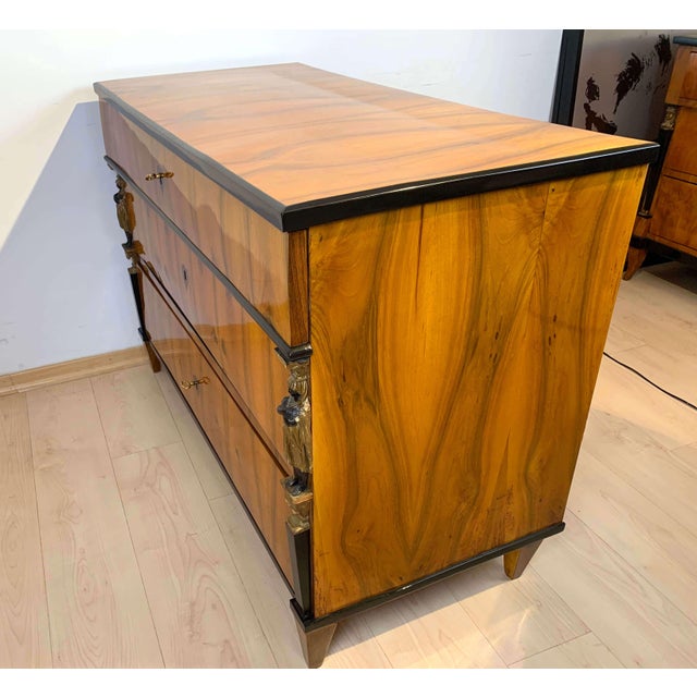 Black Empire Commode in Walnut Veneer, Caryatids, Austria, 1815 For Sale - Image 8 of 18