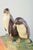 Ceramic Bowl with Two Penguins from Ipsens Enke, Denmark, 1920s For Sale - Image 3 of 5
